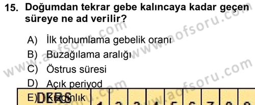 Temel Sürü Sağlığı Yönetimi Dersi 2015 - 2016 Yılı (Vize) Ara Sınav Soruları 15. Soru