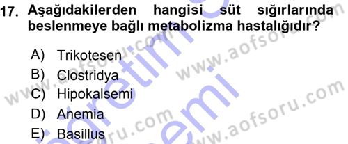 Temel Sürü Sağlığı Yönetimi Dersi 2015 - 2016 Yılı (Vize) Ara Sınavı 17. Soru