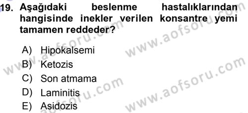 Temel Sürü Sağlığı Yönetimi Dersi 2015 - 2016 Yılı (Vize) Ara Sınav Soruları 19. Soru