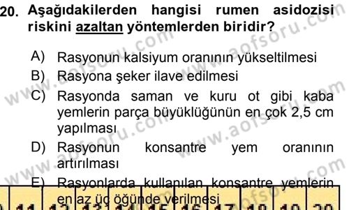 Temel Sürü Sağlığı Yönetimi Dersi 2015 - 2016 Yılı (Vize) Ara Sınav Soruları 20. Soru