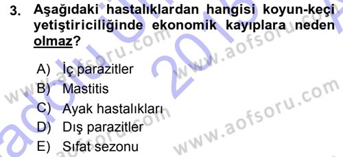 Temel Sürü Sağlığı Yönetimi Dersi 2015 - 2016 Yılı (Vize) Ara Sınav Soruları 3. Soru