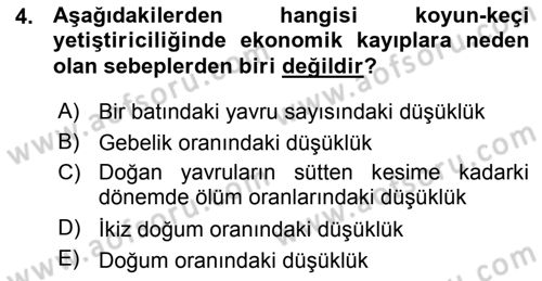 Temel Sürü Sağlığı Yönetimi Dersi 2015 - 2016 Yılı (Vize) Ara Sınav Soruları 4. Soru
