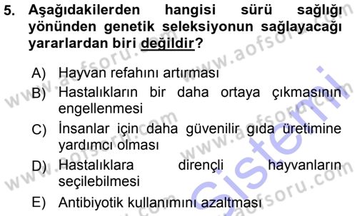 Temel Sürü Sağlığı Yönetimi Dersi 2015 - 2016 Yılı (Vize) Ara Sınav Soruları 5. Soru