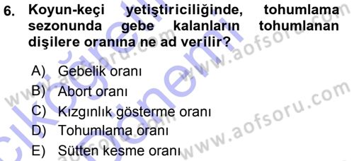 Temel Sürü Sağlığı Yönetimi Dersi 2015 - 2016 Yılı (Vize) Ara Sınav Soruları 6. Soru
