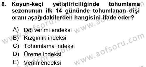 Temel Sürü Sağlığı Yönetimi Dersi 2015 - 2016 Yılı (Vize) Ara Sınavı 8. Soru