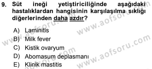 Temel Sürü Sağlığı Yönetimi Dersi 2015 - 2016 Yılı (Vize) Ara Sınav Soruları 9. Soru