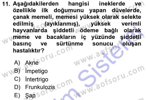 Temel Sürü Sağlığı Yönetimi Dersi 2015 - 2016 Yılı (Final) Dönem Sonu Sınav Soruları 11. Soru