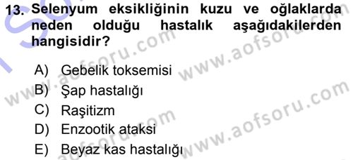 Temel Sürü Sağlığı Yönetimi Dersi 2015 - 2016 Yılı (Final) Dönem Sonu Sınavı 13. Soru