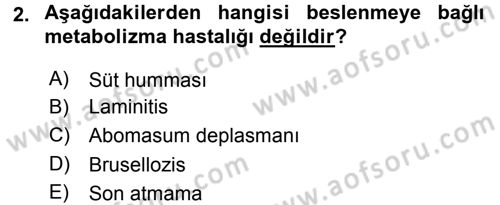 Temel Sürü Sağlığı Yönetimi Dersi 2015 - 2016 Yılı (Final) Dönem Sonu Sınav Soruları 2. Soru
