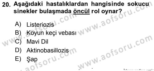 Temel Sürü Sağlığı Yönetimi Dersi 2015 - 2016 Yılı (Final) Dönem Sonu Sınavı 20. Soru