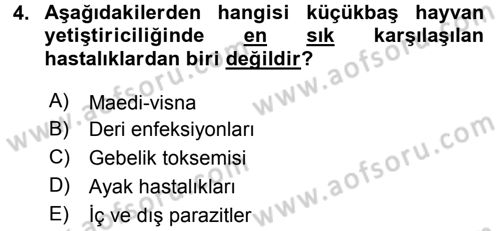 Temel Sürü Sağlığı Yönetimi Dersi 2015 - 2016 Yılı (Final) Dönem Sonu Sınav Soruları 4. Soru