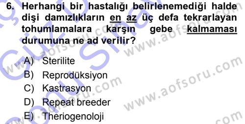 Temel Sürü Sağlığı Yönetimi Dersi 2015 - 2016 Yılı (Final) Dönem Sonu Sınav Soruları 6. Soru