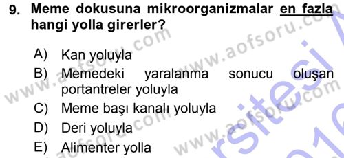 Temel Sürü Sağlığı Yönetimi Dersi 2015 - 2016 Yılı (Final) Dönem Sonu Sınav Soruları 9. Soru
