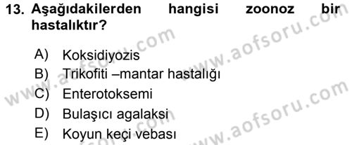 Temel Sürü Sağlığı Yönetimi Dersi 2016 - 2017 Yılı 3 Ders Sınav Soruları 13. Soru