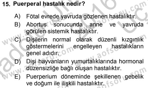 Temel Sürü Sağlığı Yönetimi Dersi 2016 - 2017 Yılı 3 Ders Sınav Soruları 15. Soru