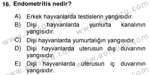 Temel Sürü Sağlığı Yönetimi Dersi 2016 - 2017 Yılı 3 Ders Sınav Soruları 16. Soru