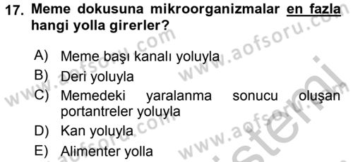 Temel Sürü Sağlığı Yönetimi Dersi 2016 - 2017 Yılı 3 Ders Sınav Soruları 17. Soru
