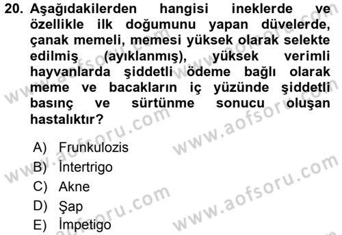 Temel Sürü Sağlığı Yönetimi Dersi 2016 - 2017 Yılı 3 Ders Sınav Soruları 20. Soru