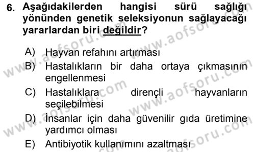 Temel Sürü Sağlığı Yönetimi Dersi 2016 - 2017 Yılı 3 Ders Sınavı 6. Soru