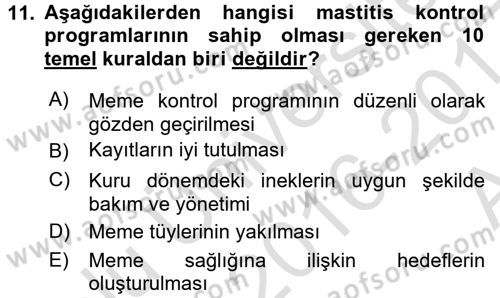 Temel Sürü Sağlığı Yönetimi Dersi 2016 - 2017 Yılı (Vize) Ara Sınav Soruları 11. Soru