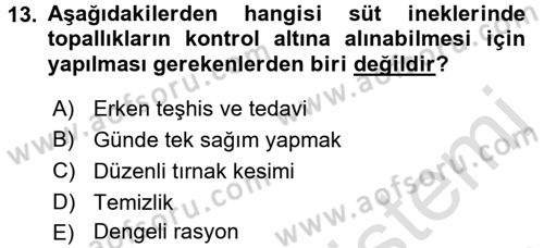 Temel Sürü Sağlığı Yönetimi Dersi 2016 - 2017 Yılı (Vize) Ara Sınav Soruları 13. Soru