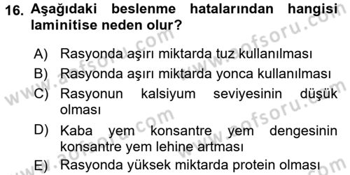 Temel Sürü Sağlığı Yönetimi Dersi 2016 - 2017 Yılı (Vize) Ara Sınav Soruları 16. Soru