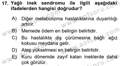Temel Sürü Sağlığı Yönetimi Dersi 2016 - 2017 Yılı (Vize) Ara Sınav Soruları 17. Soru