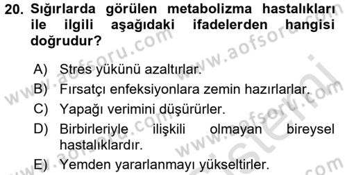 Temel Sürü Sağlığı Yönetimi Dersi 2016 - 2017 Yılı (Vize) Ara Sınav Soruları 20. Soru