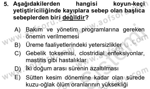 Temel Sürü Sağlığı Yönetimi Dersi 2016 - 2017 Yılı (Vize) Ara Sınav Soruları 5. Soru