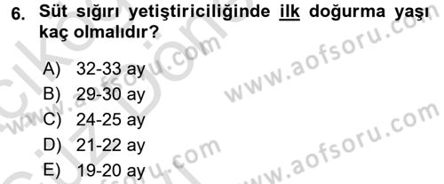 Temel Sürü Sağlığı Yönetimi Dersi 2016 - 2017 Yılı (Vize) Ara Sınav Soruları 6. Soru