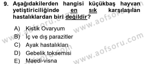 Temel Sürü Sağlığı Yönetimi Dersi 2016 - 2017 Yılı (Vize) Ara Sınav Soruları 9. Soru