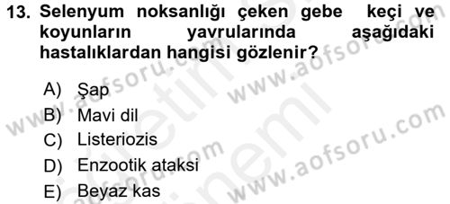 Temel Sürü Sağlığı Yönetimi Dersi 2016 - 2017 Yılı (Final) Dönem Sonu Sınavı 13. Soru