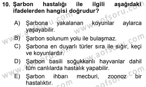 Temel Sürü Sağlığı Yönetimi Dersi 2017 - 2018 Yılı 3 Ders Sınav Soruları 10. Soru