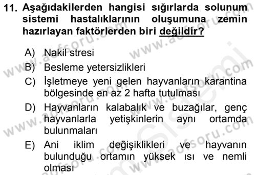 Temel Sürü Sağlığı Yönetimi Dersi 2017 - 2018 Yılı 3 Ders Sınav Soruları 11. Soru