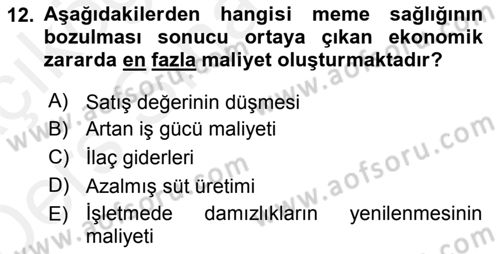 Temel Sürü Sağlığı Yönetimi Dersi 2017 - 2018 Yılı 3 Ders Sınav Soruları 12. Soru