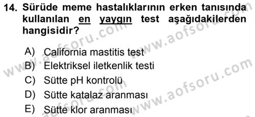 Temel Sürü Sağlığı Yönetimi Dersi 2017 - 2018 Yılı 3 Ders Sınav Soruları 14. Soru