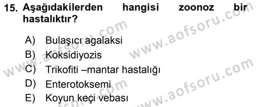 Temel Sürü Sağlığı Yönetimi Dersi 2017 - 2018 Yılı 3 Ders Sınav Soruları 15. Soru