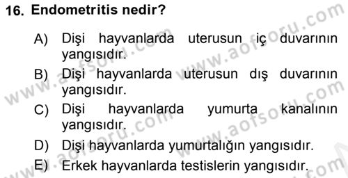 Temel Sürü Sağlığı Yönetimi Dersi 2017 - 2018 Yılı 3 Ders Sınav Soruları 16. Soru