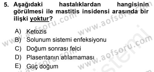 Temel Sürü Sağlığı Yönetimi Dersi 2017 - 2018 Yılı 3 Ders Sınav Soruları 5. Soru