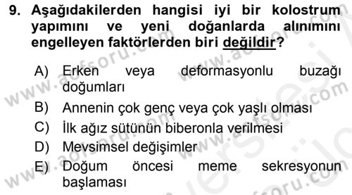 Temel Sürü Sağlığı Yönetimi Dersi 2017 - 2018 Yılı 3 Ders Sınav Soruları 9. Soru