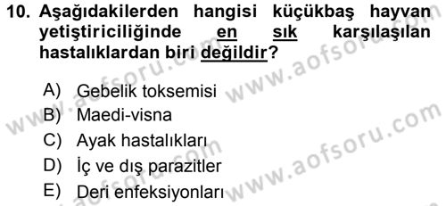 Temel Sürü Sağlığı Yönetimi Dersi 2017 - 2018 Yılı (Vize) Ara Sınav Soruları 10. Soru