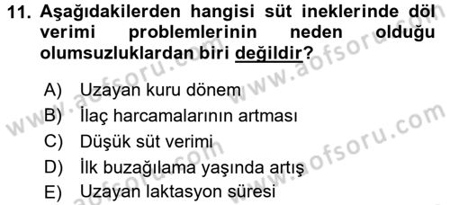 Temel Sürü Sağlığı Yönetimi Dersi 2017 - 2018 Yılı (Vize) Ara Sınav Soruları 11. Soru