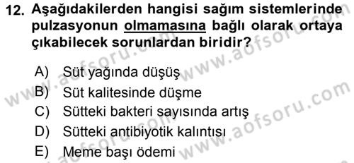 Temel Sürü Sağlığı Yönetimi Dersi Ara Sınavı Deneme Sınav Soruları 12. Soru
