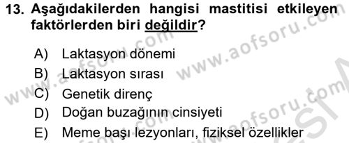 Temel Sürü Sağlığı Yönetimi Dersi 2017 - 2018 Yılı (Vize) Ara Sınav Soruları 13. Soru