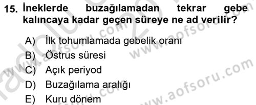 Temel Sürü Sağlığı Yönetimi Dersi Ara Sınavı Deneme Sınav Soruları 15. Soru
