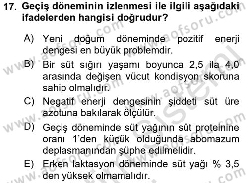 Temel Sürü Sağlığı Yönetimi Dersi Ara Sınavı Deneme Sınav Soruları 17. Soru