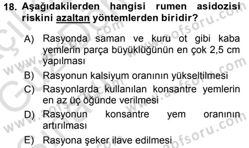 Temel Sürü Sağlığı Yönetimi Dersi Ara Sınavı Deneme Sınav Soruları 18. Soru