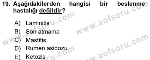 Temel Sürü Sağlığı Yönetimi Dersi 2017 - 2018 Yılı (Vize) Ara Sınav Soruları 19. Soru