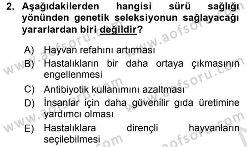 Temel Sürü Sağlığı Yönetimi Dersi Ara Sınavı Deneme Sınav Soruları 2. Soru