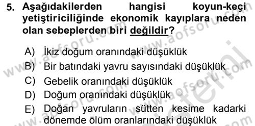 Temel Sürü Sağlığı Yönetimi Dersi 2017 - 2018 Yılı (Vize) Ara Sınav Soruları 5. Soru